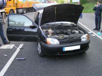 20110502_THVU_Rhina 01